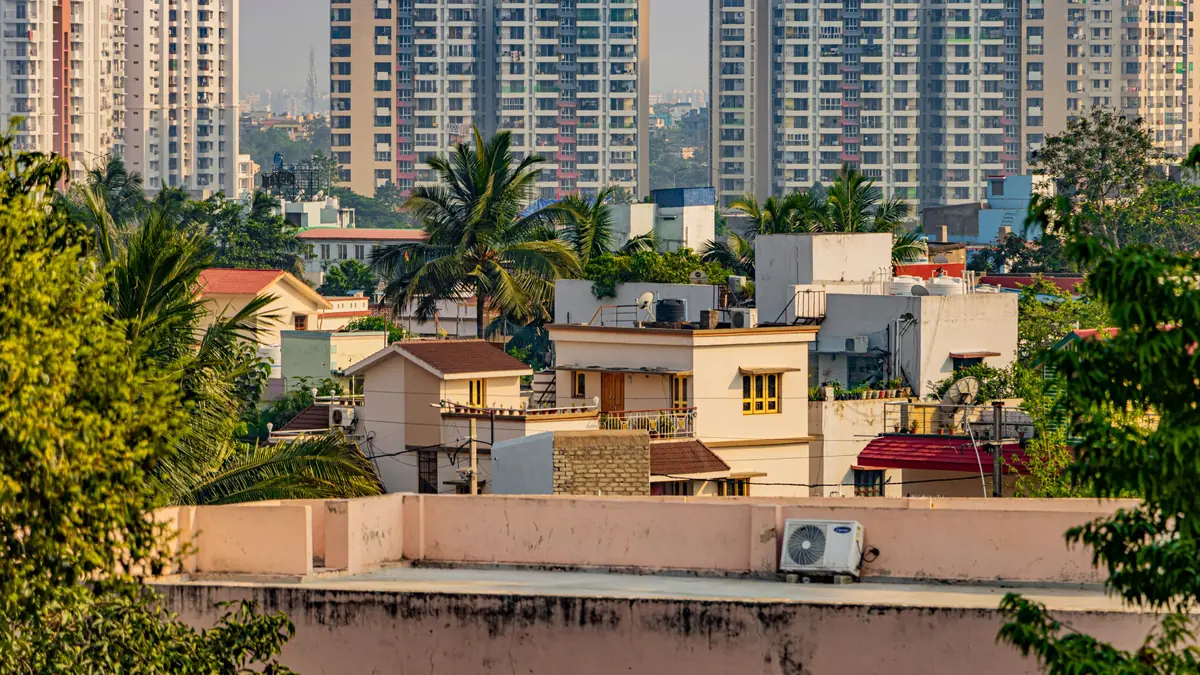 Independent houses with tiled roofs and flat terraces tucked among coconut palms and green trees, with tall apartment towers rising behind them in warm afternoon light